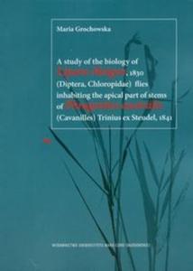 A study of the biology of Lipara Meigen 1830 flies inhabiting the apical part of stems of Phragmites australis Trinius ex Steudel 1841 - 2825721102