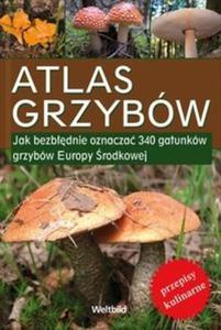 Atlas grzybw - 2825721189