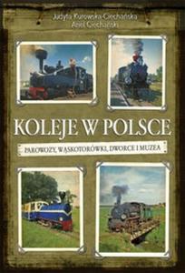 Koleje w Polsce Parowozy, wskotorwki i muzea - 2825722498