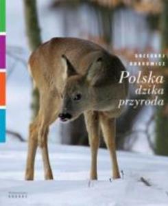 Polska dzika przyroda. Sarna - 2825722872