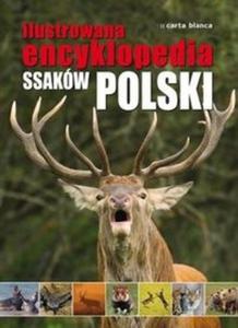 Ilustrowana encyklopedia ssakw Polski - 2825723074