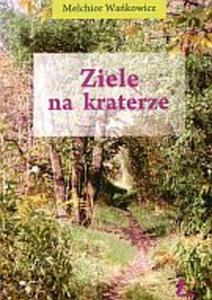 Ziele na kraterze - 2825725796