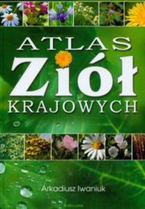 Atlas zi krajowych - 2856763730