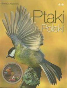 Ptaki Polski tom 2 + CD - 2856764571