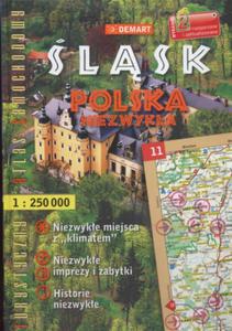 lsk Polska - 2825653352