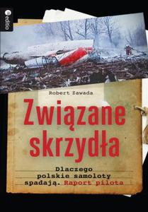 Zwizane skrzyda. Dlaczego polskie samoloty spadaj. Raport pilota