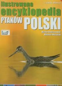 Ilustrowana encyklopedia ptakw Polski - 2856766465