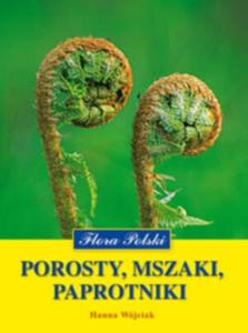 Porosty mszaki paprotniki - 2825653394