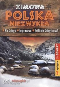 Polska niezwyka zimowa - 2856766707
