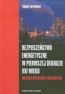 Bezpieczestwo energetyczne w pierwszej dekadzie XXI wieku - 2857595591