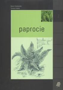 Paprocie - 2857597730