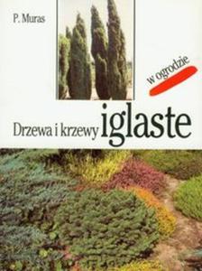 Drzewa i krzewy iglaste - 2857598299