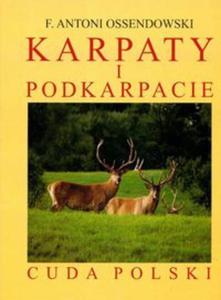 Karpaty i Podkarpacie reprint - 2857601397