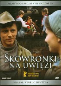 Skowronki na uwizi (Pyta DVD) - 2857601998