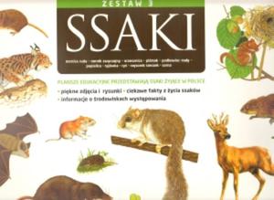 Ssaki III - 2825654158