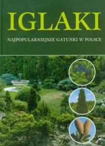 Iglaki najpopularniejsze gatunki w Polsce - 2857609497