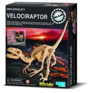 Dino szkielety Velociraptor - 2857609953