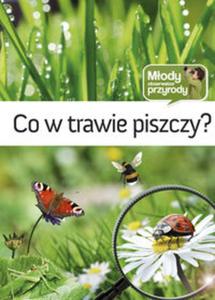 Co w trawie piszczy - 2857610849