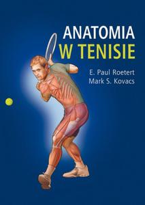 Anatomia w tenisie - 2857612584