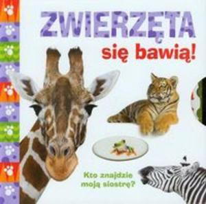 Zwierzta si bawi