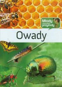 Owady Mody obserwator przyrody - 2857613773