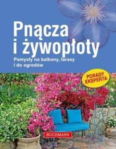 Pncza i ywopoty - 2857613963