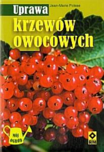 Uprawa krzeww owocowych - 2825654686