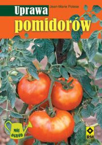 Uprawa pomidorw - 2825654688