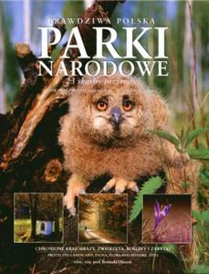 Parki Narodowe. Prawdziwa Polska. 23 skarby przyrody (wersja dwujzyczna) - 2857615048