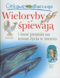 Ciekawe dlaczego Wieloryby piewaj - 2857616314