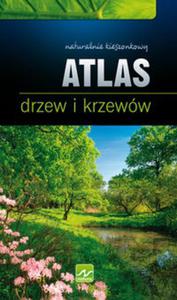 Atlas drzew i krzeww. Naturalnie kieszonkowy - 2857624721