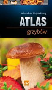 Atlas grzybw. Naturalnie kieszonkowy - 2857627635