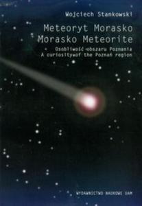 Meteoryt Morasko Osobliwo obszaru Poznania - 2857627840