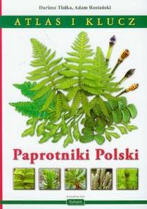 Paprotniki Polski Atlas i klucz - 2857630582