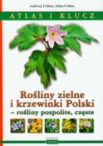 Roliny zielne i krzewinki Polski - 2857630583