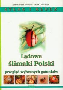 Ldowe limaki Polski Atlas i klucz - 2857630637