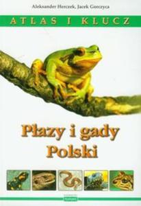 Pazy i gady Polski Atlas i klucz - 2857630639