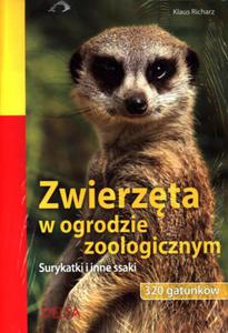 Zwierzta w ogrodzie zoologicznym. Surykatki i inne ssaki - 2857630972