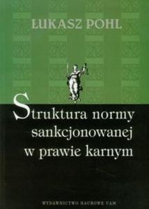 Struktura normy sankcjonowanej w prawie karnym - 2857633048