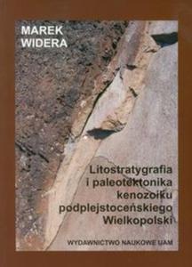 Litostratygrafia i paleotektonika kenozoiku podplejstoceskiego Wielkopolski - 2857633054