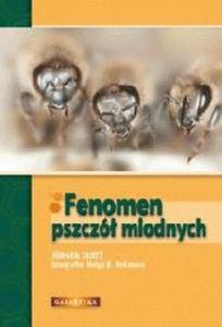 Fenomen pszcz miodnych - 2825655901