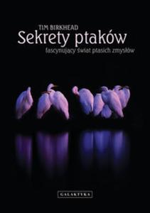 Sekrety ptaków