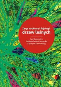 Zarys struktury i fizjologii drzew lenych - 2857633950