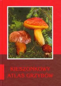 Kieszonkowy atlas grzybw - 2857634465