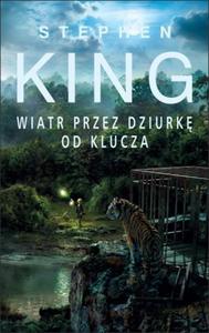 Mroczna wiea VIII. Wiatr przez dziurk od klucza