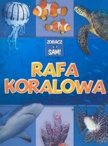 Rafa koralowa Zobacz sam