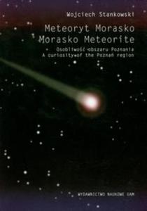 Meteoryt morasko osobliwo obszaru Poznania - 2857643639