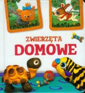 Zwierzta domowe Modelinki