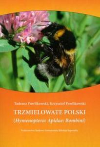 Trzmielowate Polski - 2857647155