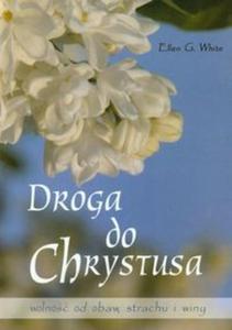 Droga do Chrystusa - 2857648250